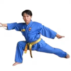 Vovinam Việt Võ Đạo quận Bình Tân Vovinam Việt Võ Đạo quận Bình Tân