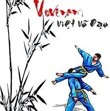 Vovinam Việt Võ Đạo quận Bình Tân